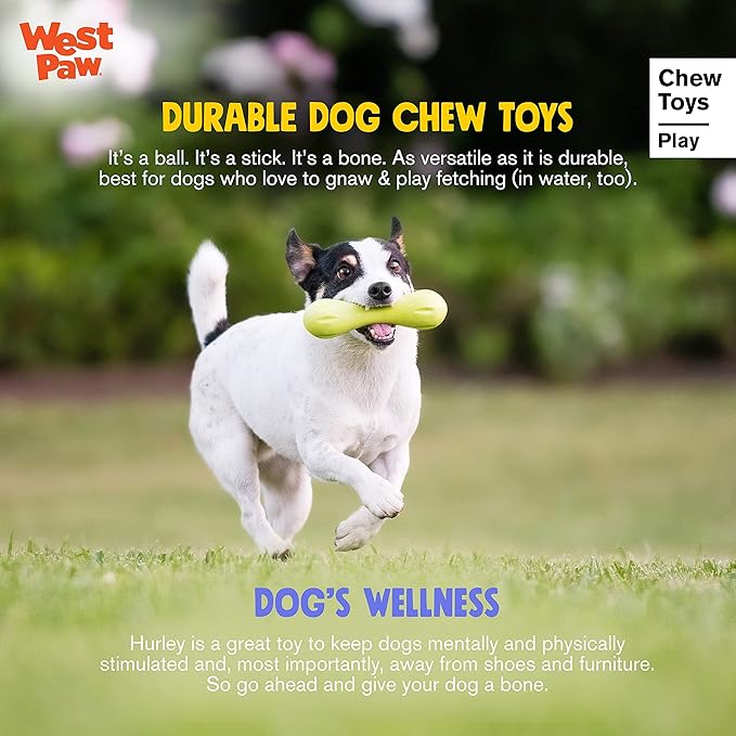 WEST PAW Zogoflex Hurley Dog Bone Chew Toy – Floatable Pet Toys for Aggressive Chewers, Catch, Fetch – Bright-Colored Bones for Dogs – Recyclable, Dishwasher-Safe, Non-Toxic, Large, Tangerine