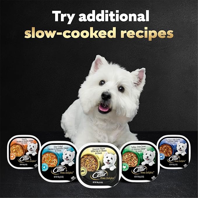Cesar Home Delights Adult Wet Dog Food, Sausage Flavor with Egg & Cheese in Sauce, Wet Food for Dogs, 3.5 oz Tray, 24 Count