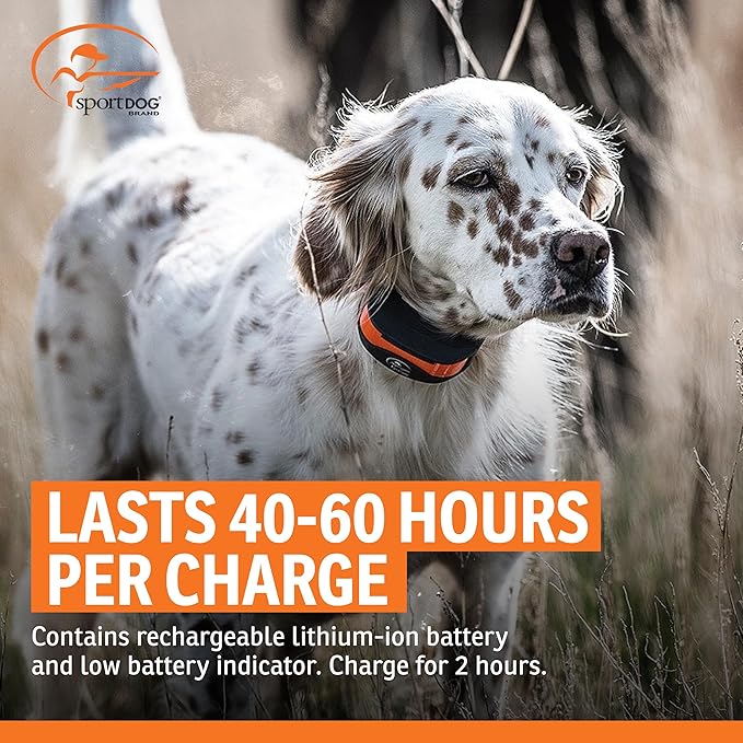 SportDOG Brand FieldTrainer 425XS Add-A-Dog Collar for Stubborn Dogs - Additional, Replacement, or Extra Collar for Your Remote Trainer - Waterproof and Rechargeable with Tone, Vibration, and Shock