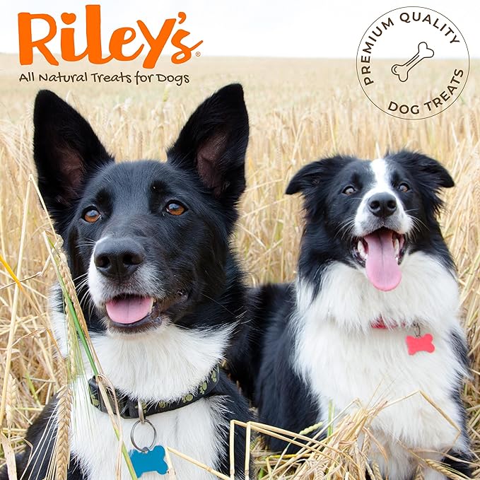 Riley's Pill Wrap for Dogs - Delicious Peanut Butter Flavored Pill Paste for Dogs - Wrap Pills, Capsules, Tablets in a Pocket or Pouch to Mask The Taste & Make Pill Time Easy - 4.2 oz