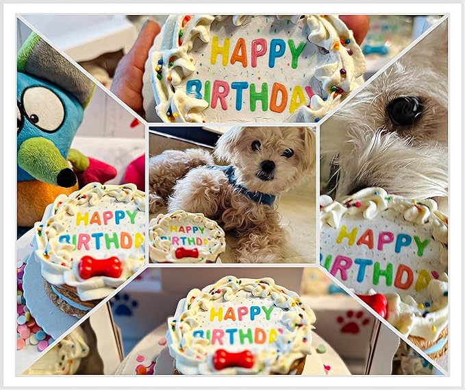 Dog Birthday Cake- Edible Puppy Party Crunchy Cookie Treat Decorated Gift - Bad to The Bone- Perfect Dog Gift