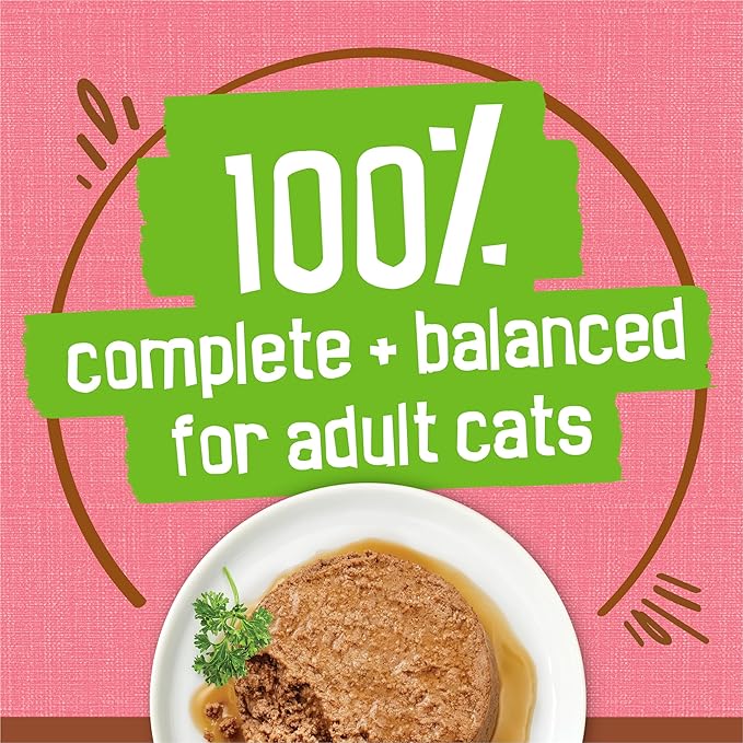 Friskies Purina Wet Cat Food Extra Gravy Pate with Salmon in Savory Gravy - 5.5 oz. Cans,(Pack of 48)