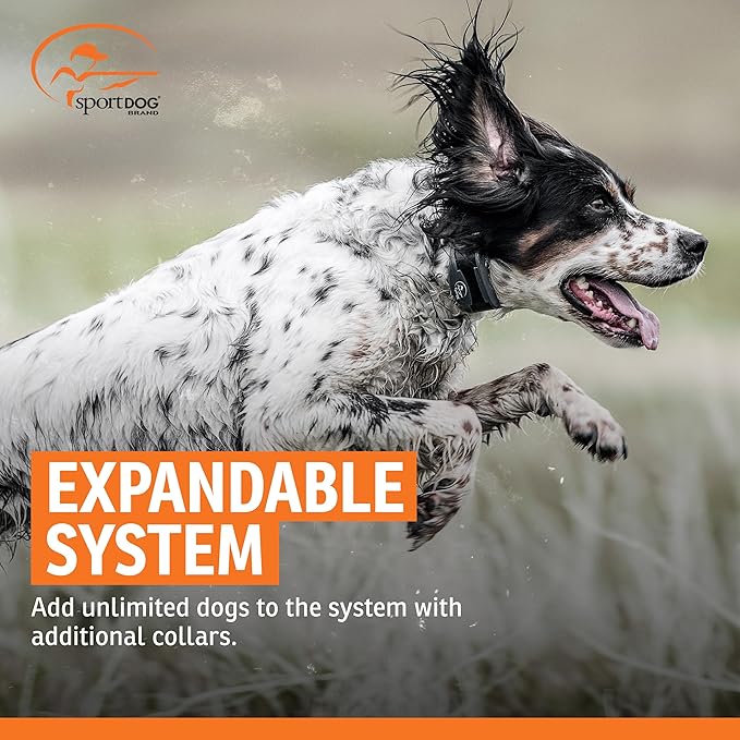 SportDOG Rechargeable In-Ground Fence System - Creates Secure Play Area - Electric Fence for Dogs - Waterproof Collar - Long-Lasting System - Expandable Design
