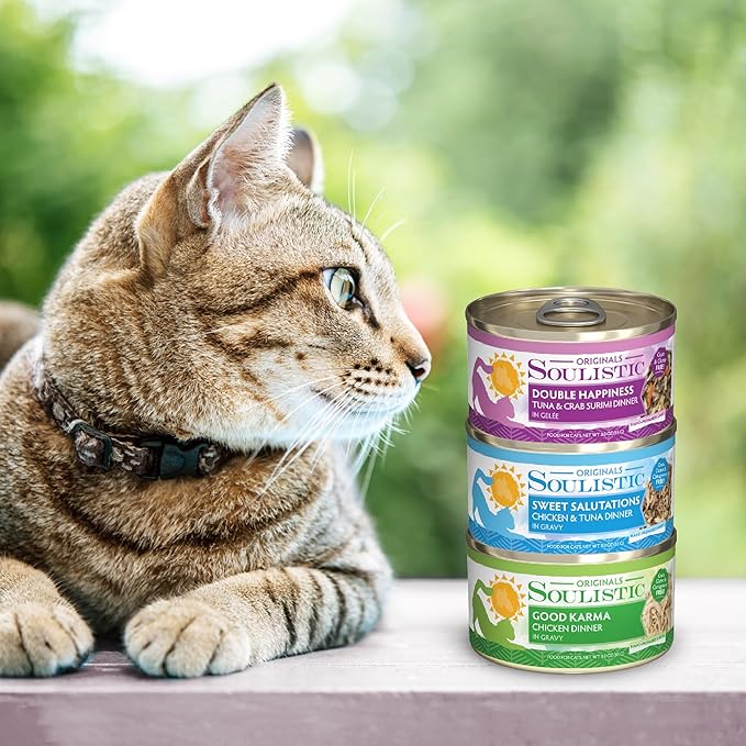 Soulistic Originals, Shrimply Divine Tuna and Shrimp Dinner in Gelée, 3oz Can, Pack of 12