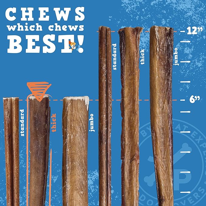 Jack&Pup 6-inch Premium Grade Odor Free Bully Sticks Dog Treats [Thick-Size] – 6” Long All Natural Gourmet Dog Treat Chews – Fresh and Savory Beef Flavor - (6 Pack)