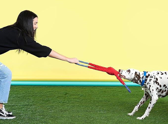 ZippyPaws RopeTugz - Durable Dog Pull Rope Toy, Interactive Tug of War for Large, Medium, & Small Dogs, Squeaky Pet Products to Keep Them Busy, Made with Heavy Duty Climbing Rope - Blue Monkey