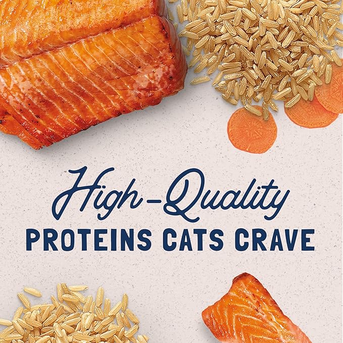 Natural Balance Original Ultra Adult Wet Canned Cat Food, Salmon Recipe, 5.5 Ounce (Pack of 24)