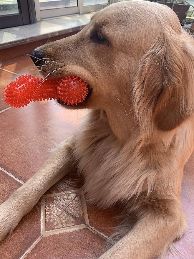 Jalousie Dog Squeaky Toys Value Set Non-Toxic Squeaky Balls Toss Fetch TPR Rubber Puppy Toys Spikey Dog Chew Toy for Small Medium Breed Pet Toys for Puppy (6 Pack Assorted)