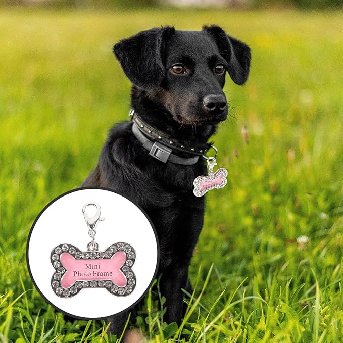 VOSAREA 2pcs Cute Pet Dog Id Tags Bone-Shaped with Pet Information Decorative Name Tags for Collars Pink Lightweight Supplies for Puppies and Cats