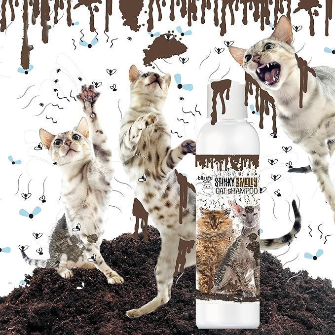 The Blissful Dog Stinky Smelly Cat Shampoo, 4-Ounce