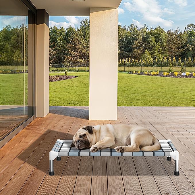 Elevated Outdoor Raised Dog Bed Outdoor Dogs Bed Lifted Pet Bed Dog Cot for Medium Pet Taste Life, Start with A Pet Bed 34'' x 20'' x 6.5''