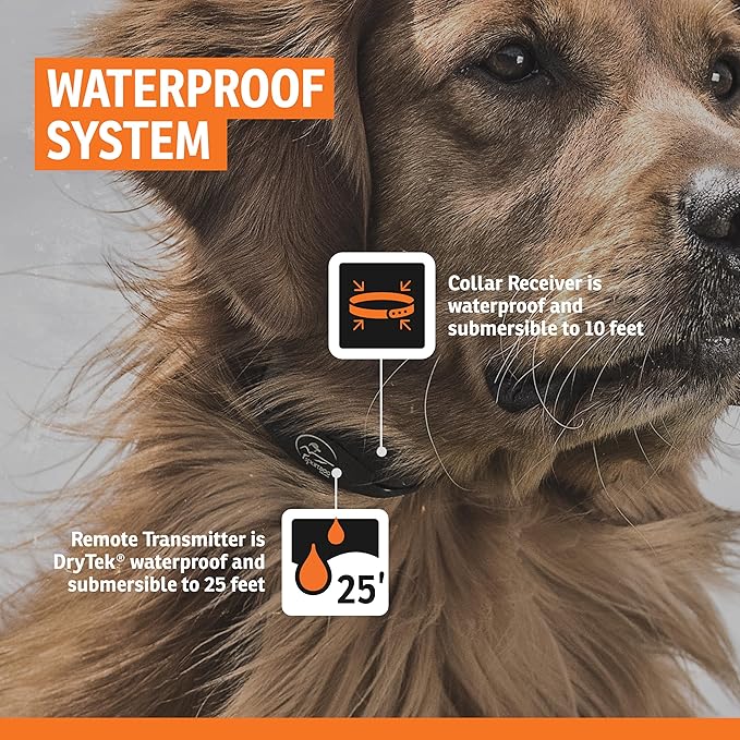 SportDOG Contain + Train System - Creates Secure Play Area - Adjustable Neck Collar - Electric Fence - Durable Fencing - Waterproof - Covers 1 1/3 Acres, 1 Collar