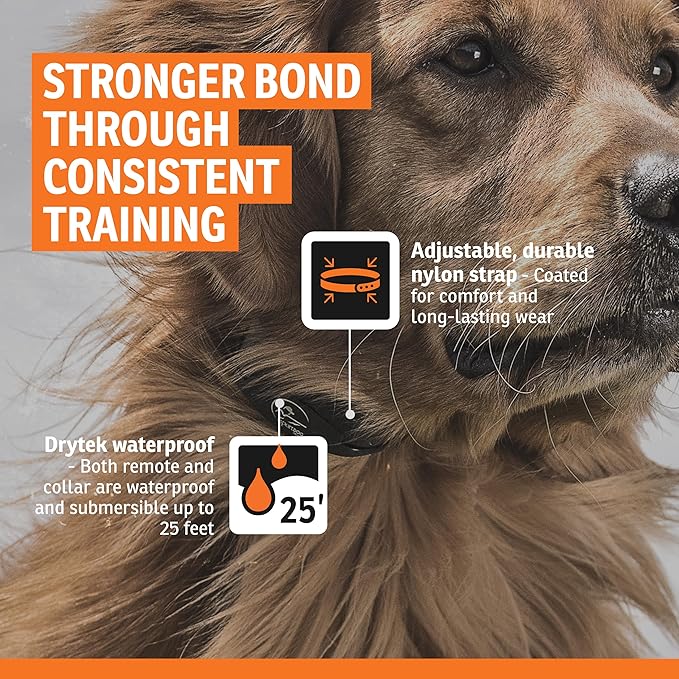 SportDOG Rechargeable In-Ground Fence System - Creates Secure Play Area - Electric Fence for Dogs - Waterproof Collar - Long-Lasting System - Expandable Design