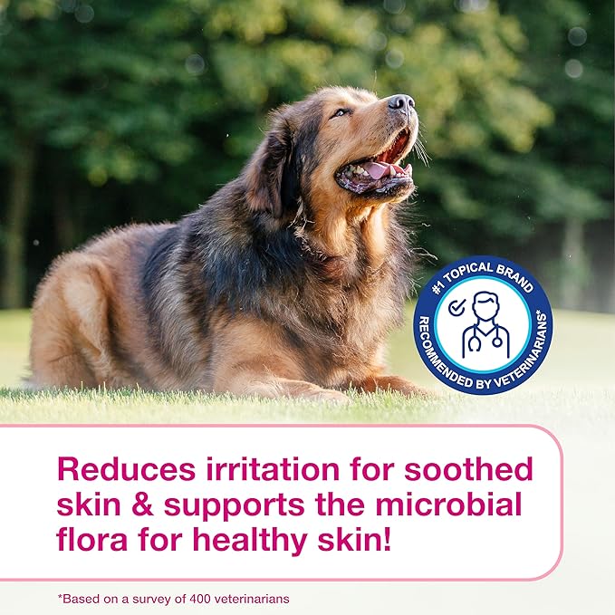 Douxo S3 Calm Mousse, Contains 0.75% Ophytrium, Soothing, For Itchy, Irritated or Allergic Skin, For Dogs and Cats, 5.1 fl. oz. (150mL)