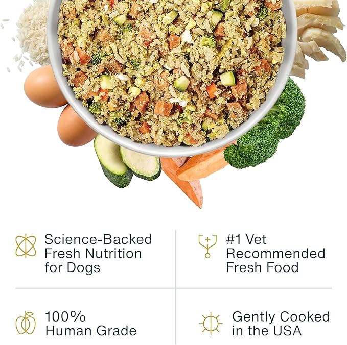 JustFoodForDogs Vet RX Pantry Fresh Prescription Dog Food, Human Grade, Vet Recommended Fresh Pet Meal or Topper, Limited Ingredient, Prescription Diet, Hepatic Support Low Protein, 12.5oz- 12 Pack