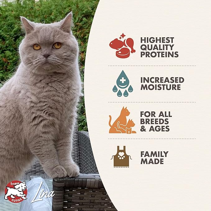 Fromm Four-Star Nutritionals Chicken & Salmon Pate Cat Food - Premium Wet Cat Food - Chicken Recipe - Case of (12) 3 oz Cans