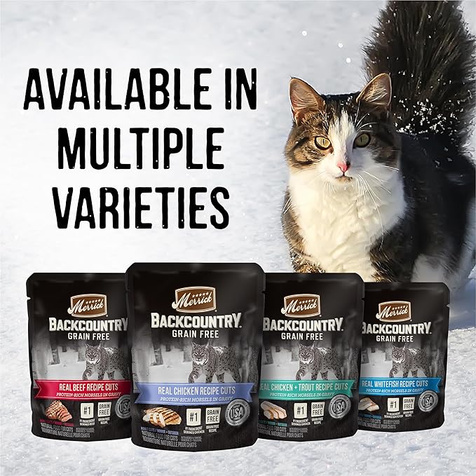 Merrick Backcountry Grain Free Gluten Free Premium High Protein Wet Cat Food, Chicken Recipe Cuts With Gravy - (Pack of 24) 3 oz. Pouches