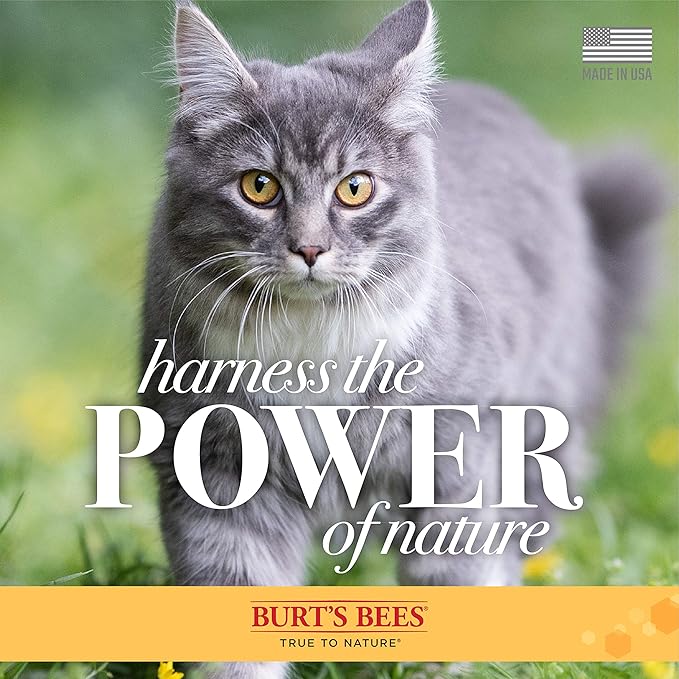 Burt's Bees Hypoallergenic Cat Shampoo and Dander Reducing Grooming Wipes - Cat Grooming Supplies, Cat Shampoo, Cat Wipes
