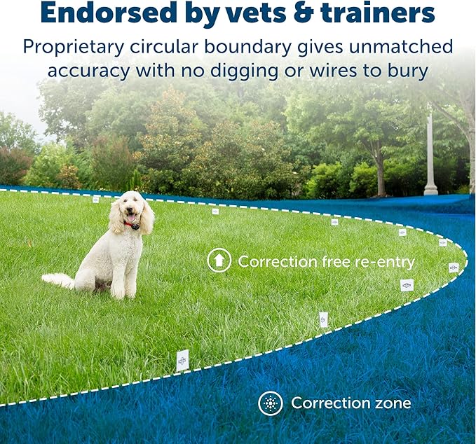 PetSafe Wireless Pet Containment System with 2 Replacement Collar Batteries - Wireless Electric Fence for Dogs - from Parent Company of Invisible Fence Brand - Covers Up to 1/2 Acre - for Pets 8lb+