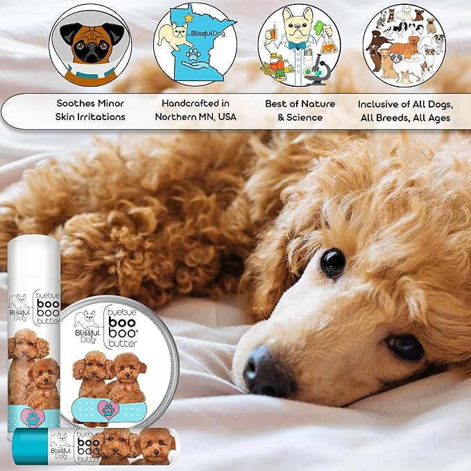 The Blissful Dog 4 oz TIN Poodle Booboo Butter