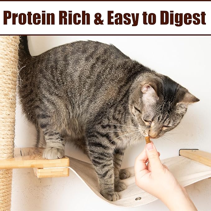 Fieldcrest Farms Nothin’ to Hide Collagen Cat Treats – Crunchy & Creamy Cat Snacks, High-Protein Healthy Treats for Skin, Coat & Joint Support, Chicken Flavor, 8 oz. Resealable Tub (Pack of 4)