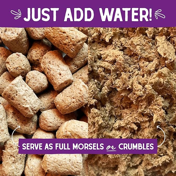 Stella & Chewy's Freeze-Dried Raw Cat Dinner Morsels - Premium Salmon & Chicken Recipe with 98% Wild-Caught & Cage-Free Protein - Natural Grain-Free Cat & Kitten Food - Made in USA - 1 oz (Pack of 2)
