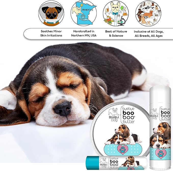 The Blissful Dog BB-BEAGLE-16OZ Tibetan Spaniel Boo Butter