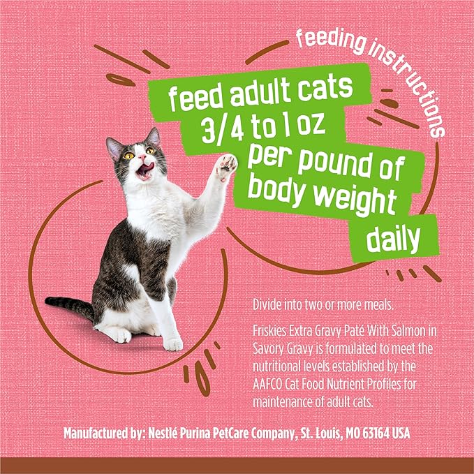 Purina Friskies Wet Cat Food Extra Gravy Pate With Salmon in Savory Gravy - (Pack of 24) 5.5 oz. Cans