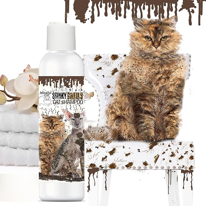The Blissful Dog Stinky Smelly Cat Shampoo, 8-Ounce