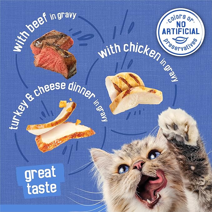 Friskies Wet Cat Food Variety Pack, Shreds Beef Chicken Turkey & Cheese | 48 Pack | 5.5 oz Cans