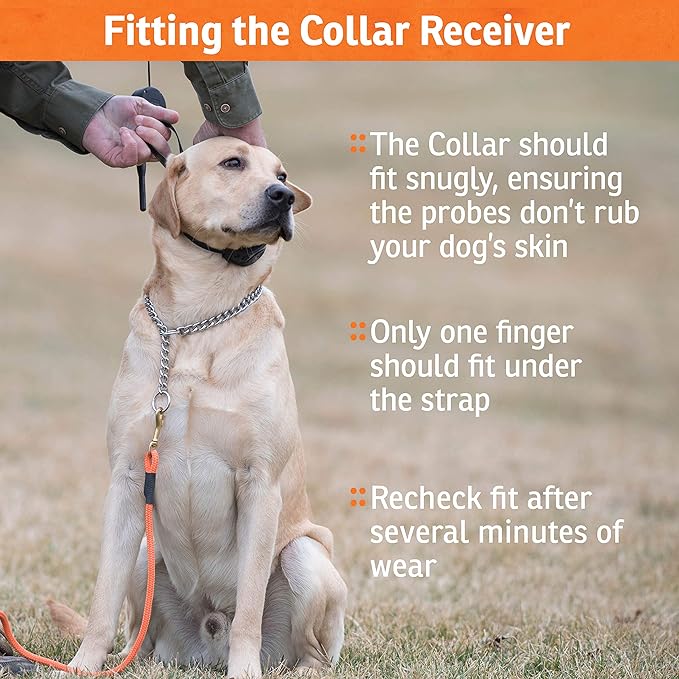 SportDOG Rechargeable In-Ground Fence System - Creates Secure Play Area - Electric Fence for Dogs - Waterproof Collar - Long-Lasting System - Expandable Design