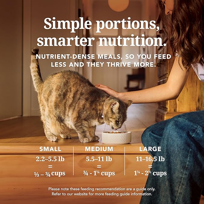 Feline Natural High Protein Dry Cat Food, Freeze-Dried Diet with 98% Meat, Organs & Seafood, No Peas, Grains, or Artificial Additives, Made in New Zealand, Lamb, 11oz