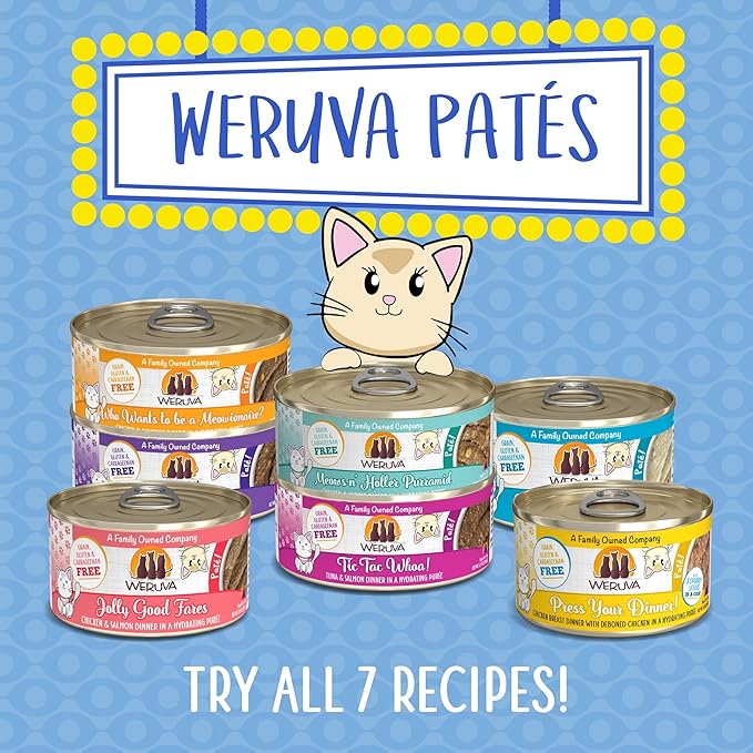 Weruva Wet Cat Food, Jolly Good Fares with Chicken and Salmon Pate, 5.5oz Can, Pack of 8