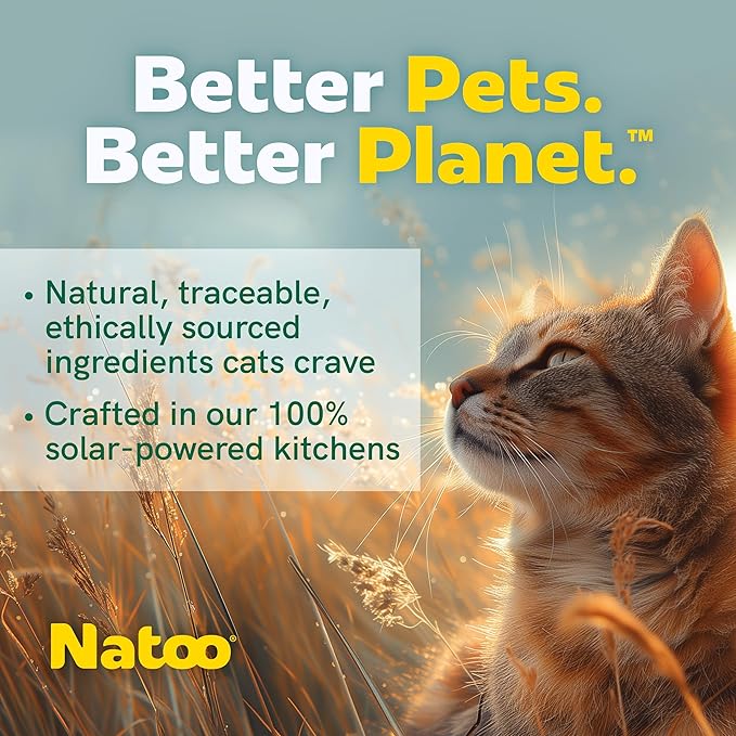 NATOO Cat Food Topper for Picky Eaters, Healthy Soft KittyTreat (Chicken & Brown Rice in Broth), Wet Cat Meal with Gravy, High Protein, Limited Ingredient Adult & Kitten Food, 2.4 oz (Case of 20)
