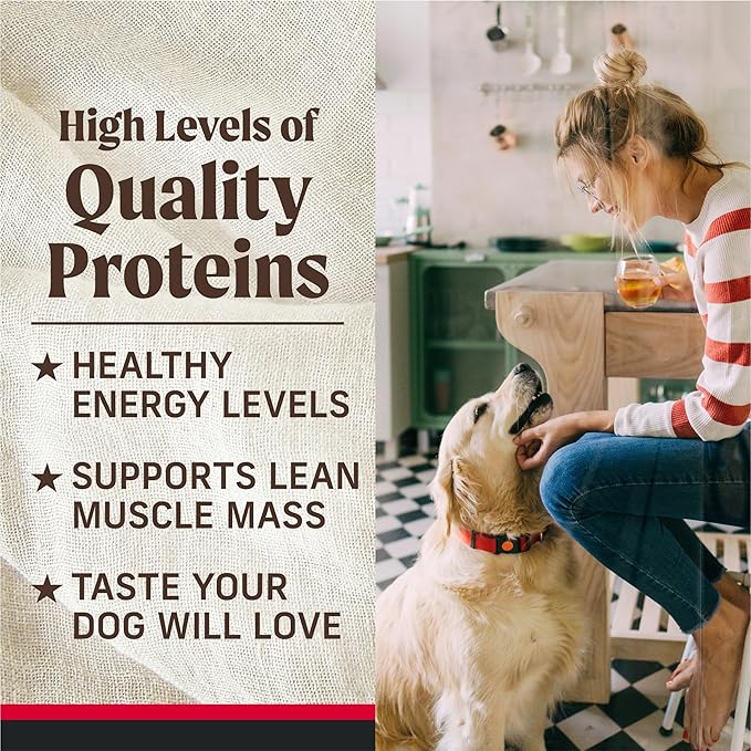 Merrick Backcountry Grain Free Premium Canned Wet Dog Food, Soft And Healthy Recipe, Real Beef Dinner - (Pack of 12) 12.7 oz. Cans