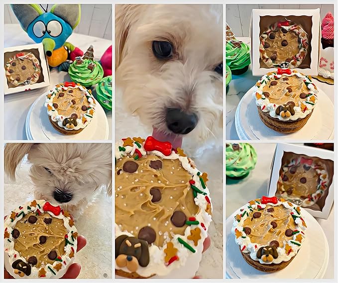 Dog Birthday Cake- Puppy Party Christmas Cookie Gift- Bad to The Bone- Perfect Dog Treat Boxed & Decorated for Dogs