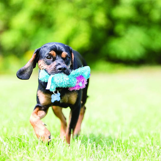 KONG Cozie Baily The Blue Dog, Medium Dog Toy, Blue