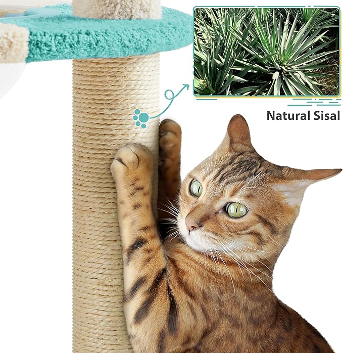 Yaheetech Cat Scratching Posts with Cat Bed, 35in Cat Scratcher with 2 Scratching Posts for Indoor Cats, Sisal Scratch Posts with Replaceable Ball for Kittens Adults Cats