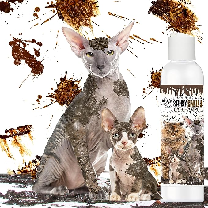 The Blissful Dog Stinky Smelly Cat Shampoo, 8-Ounce