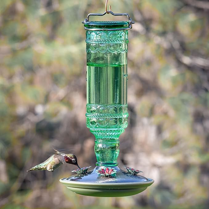 Perky-Pet Glass Bottle Hummingbird Feeder - Outdoor Garden Décor Humming Bird Feeder,8108-1SR - 10 Fl Oz Nectar Capacity - Durable Green Antique Design - Hang from Tree,Porch,Deck,Hook,(Pack of 6)