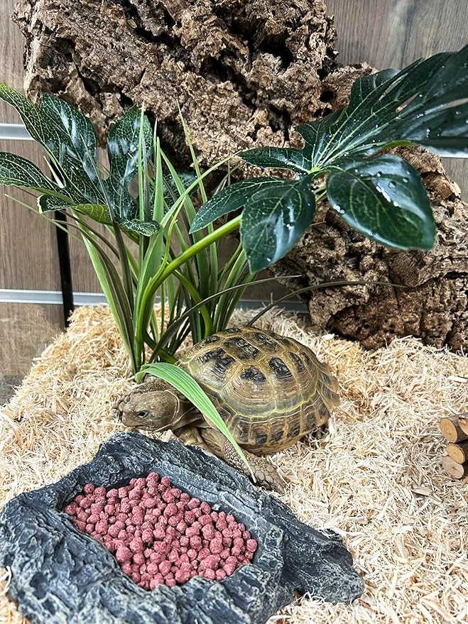 Komodo Complete Holistic Tortoise Diet, Dandelion, Tube,170 g