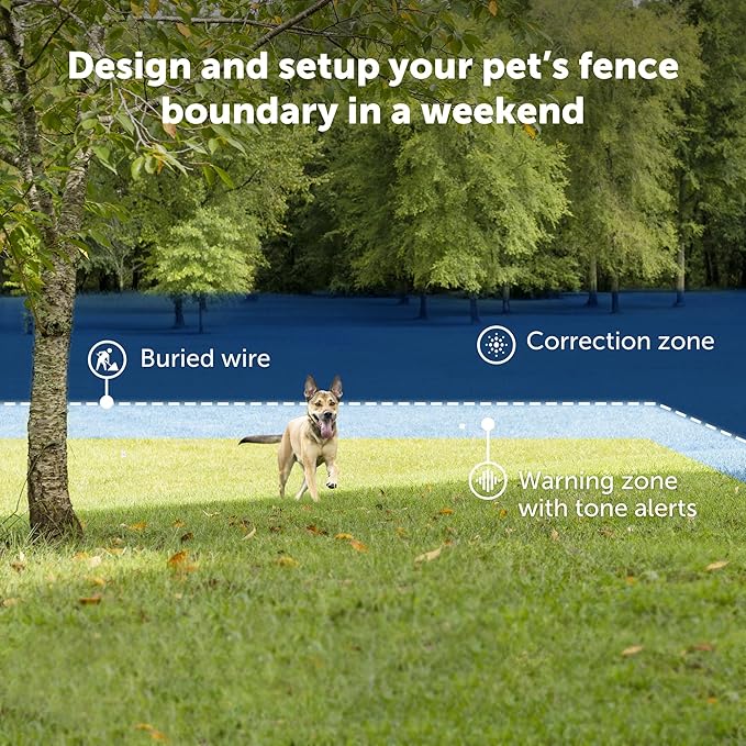 PetSafe 2-Dog Basic In-Ground Fence System - Easy Install Electric Pet Barrier with Visual Cue Boundary Flags, 2 Waterproof Collars & Indoor Transmitter - Long-Lasting Training System