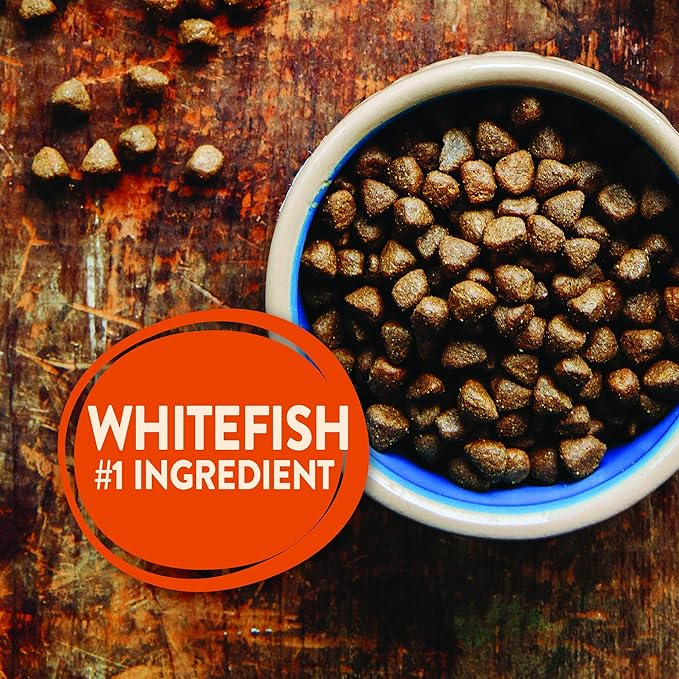 Wellness CORE Grain Free Dry Dog Food, Whitefish, Herring Meal & Salmon Meal, 4 Pound Bag CORE Wet Dog Food Pate, Whitefish, 12 Cans, 12.5 Ounce Can
