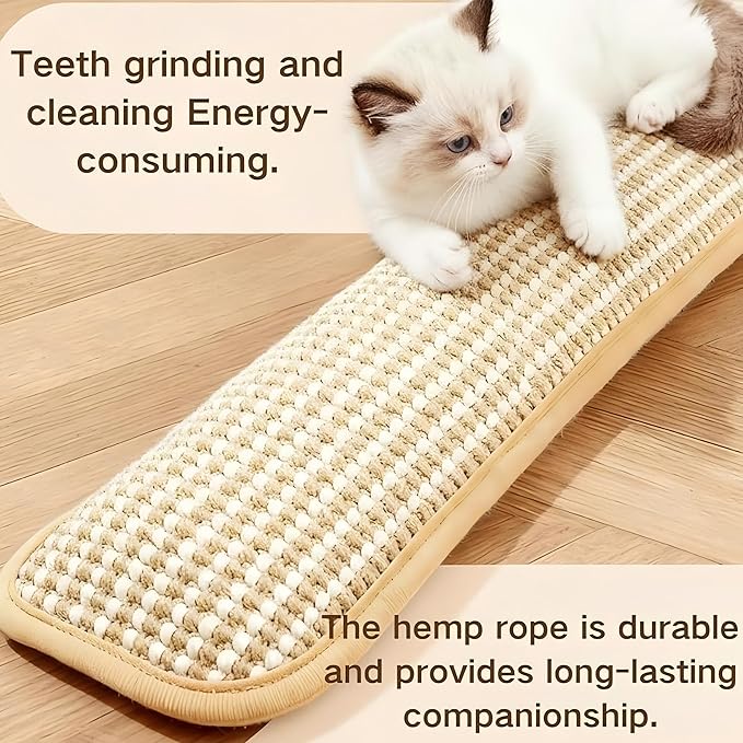Catnip Toys, Cat Toys，Catnip Toys for Cats，2 Pack Interactive Catnip Toys with Organic 8000mg Herbal Blend for Indoor Scratching, Chewing & Teething, Fun for Kittens and Adult Cats