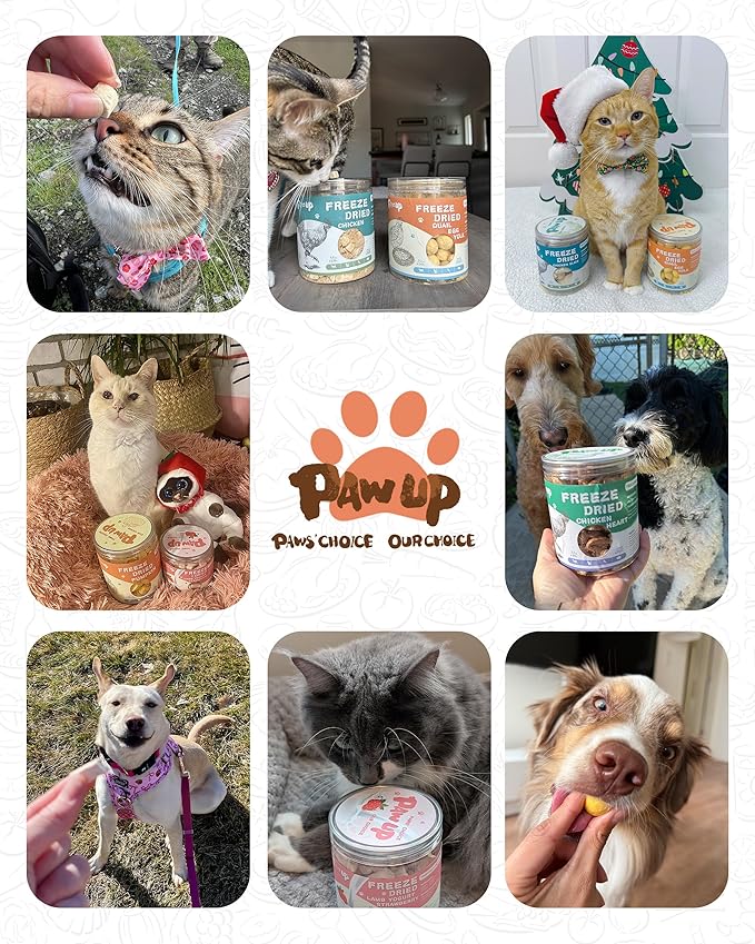 PAWUP Freeze Dried Salmon Dog Treats, Single Ingredient Raw Dog Food Toppers, Healthy Training Treats for Dogs,3.8 oz