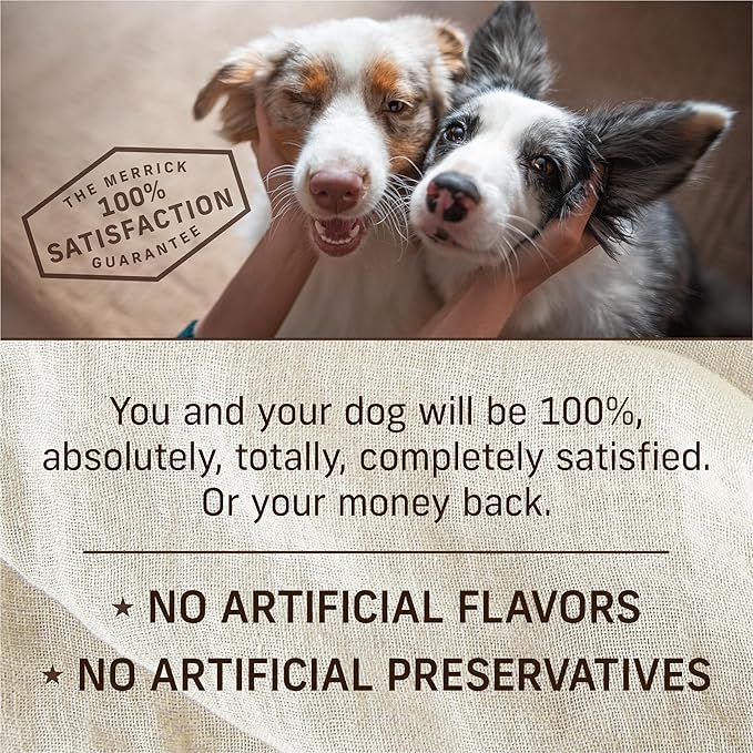 Merrick Grain Free Wet Puppy Food, Premium Soft And Gluten Free Canned Dog Food, Puppy Plate Beef Recipe - (Pack of 12) 12.7 oz. Cans
