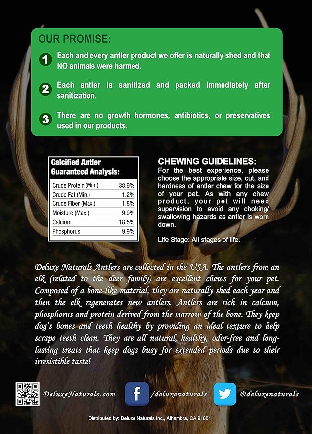 Elk Antler Dog Chews | Long-Lasting A-Grade Premium Elk Antler Chews for Dogs from Naturally Shed Elk Antlers Collected in The USA, Whole, Medium (Pack of 6)