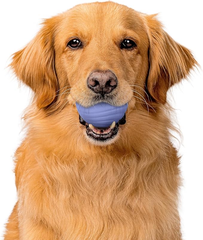 Playology Dog Toys | Dual Layer Ball Durable Chew Toy for Aggressive Chewers | Jumbo Blueberry Scented Toy - Easy to Clean and Made from Non Toxic Materials