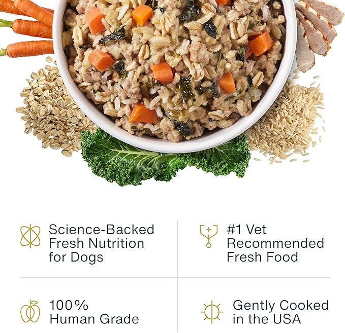 JustFoodForDogs JustFresh Wet Dog Food, Fresh Pet Meals and Toppers with No Preservatives, Resealable Package, Human Grade, Home-Cooked Porl, 12 oz - 7 Pack