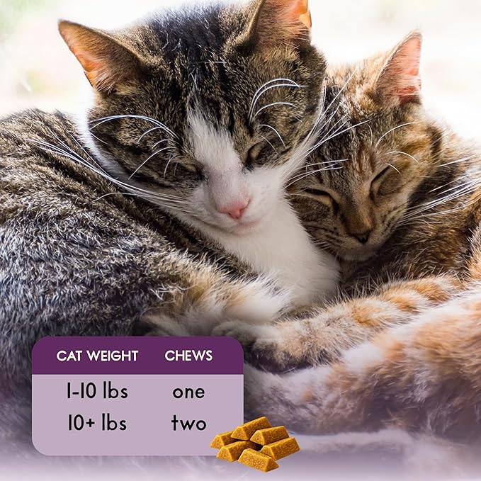 Feline Biome: Premium Cat Probiotic – Gut Health, Diarrhea Relief & Immune Support – Natural & Organic Ingredients – 60 Soft Chews with Real Chicken and Chicken Liver